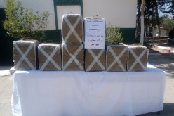 حجز أزيد من قنطار “زطلة” بثلاث ولايات