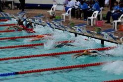 الجزائر تحتضن البطولة الافريقية للسباحة  أكابر طبعة 2018