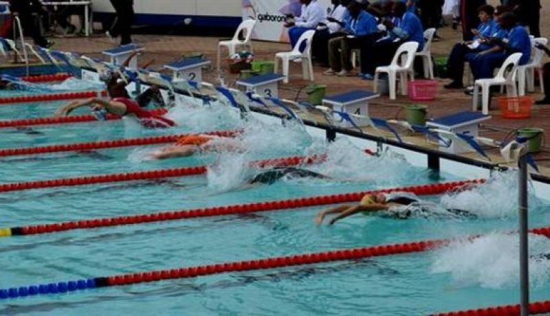 الجزائر تحتضن البطولة الافريقية للسباحة  أكابر طبعة 2018