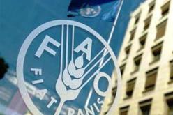 هلاك 420 ألف شخص سنويا بسبب الغذاء الملوث 