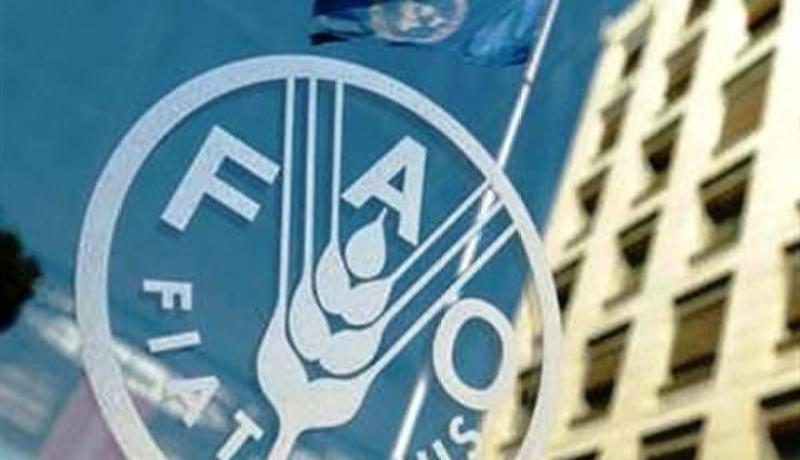 هلاك 420 ألف شخص سنويا بسبب الغذاء الملوث 