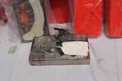 إيداع شقيق نائب برلماني الحبس المؤقت بسبب تورطه في قضية الكوكايين بخميس الخشنة