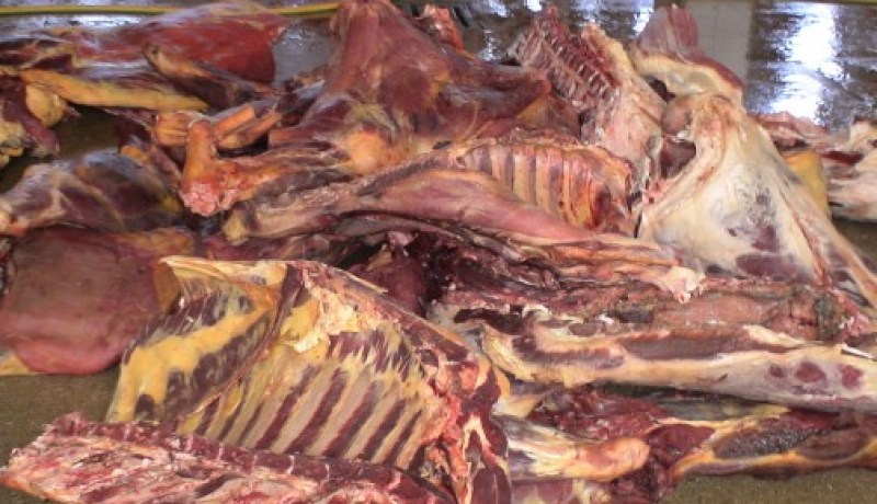 البويرة : حجز أزيد من 250 كلغ من اللحوم الفاسدة
