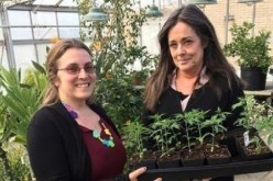 جامعات تضيف المخدرات إلى مناهجها الدراسية بهذه الدولة