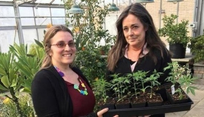 جامعات تضيف المخدرات إلى مناهجها الدراسية بهذه الدولة