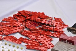 حجز أزيد من ألفين قرص إكستازي بمغنية قادمة من المغرب