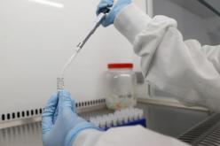 علماء إيطاليون يطوّرون أول لقاح يوقف انتشار فيروس كورونا في الخلايا البشرية