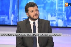 ياسين وليد.. تمويل المشاريع الناشئة يكون بطريقة تدريجية