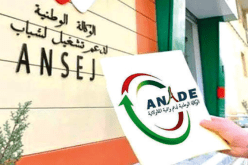 أناد.. قبول 216 ألف لتعويض ديون المؤسسات المتعثرة