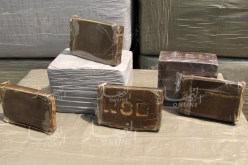 توقيف أربعة أشخاص وحجز04 كلغ من المخدرات بعين تموشنت