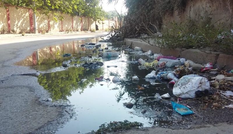 سكان حي 11 ديسمبر بباش جراح: “الحشرات تجتاحنا”!