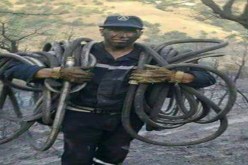 علامة كاملة لأعوان لهبيري