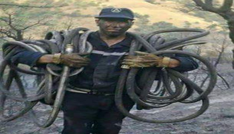 علامة كاملة لأعوان لهبيري
