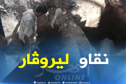 بالفيديو..مواطنون يُصلحون قنوات “الصرف الصحي” يوم العيد بالبليدة