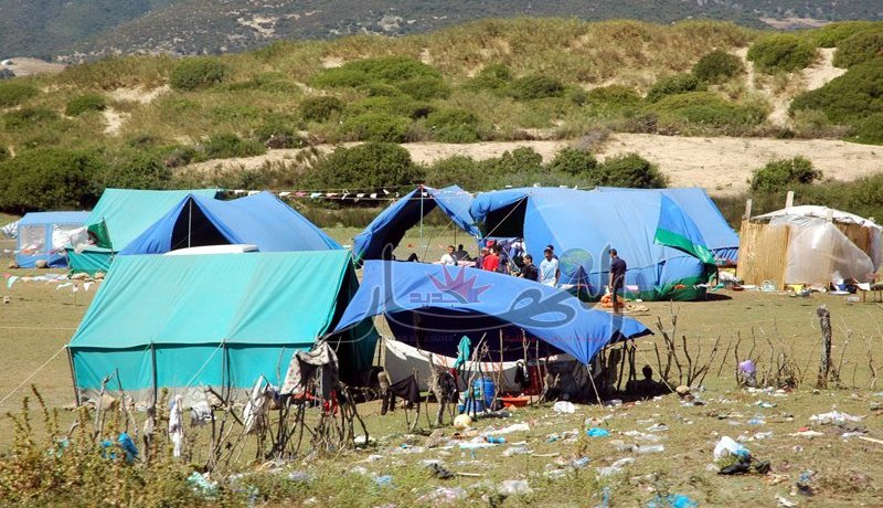 240 “أغواطيا” يستفيدون من مجانية تراخيص مخيمات الساحل