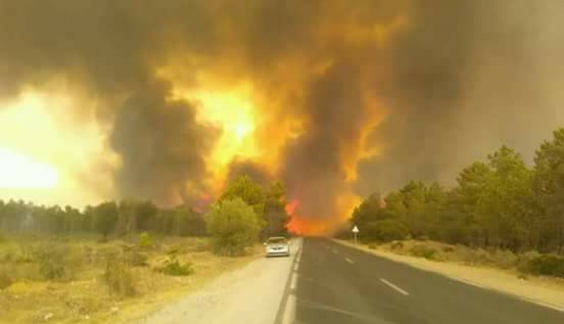 صور مرعبة لحريق مهول في القالة