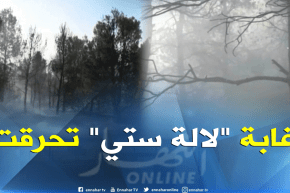 سعيدة: حريق بغابة “لالة ستي” يأتي على 20 هكتار من أشجار الصنوبر الحلبي