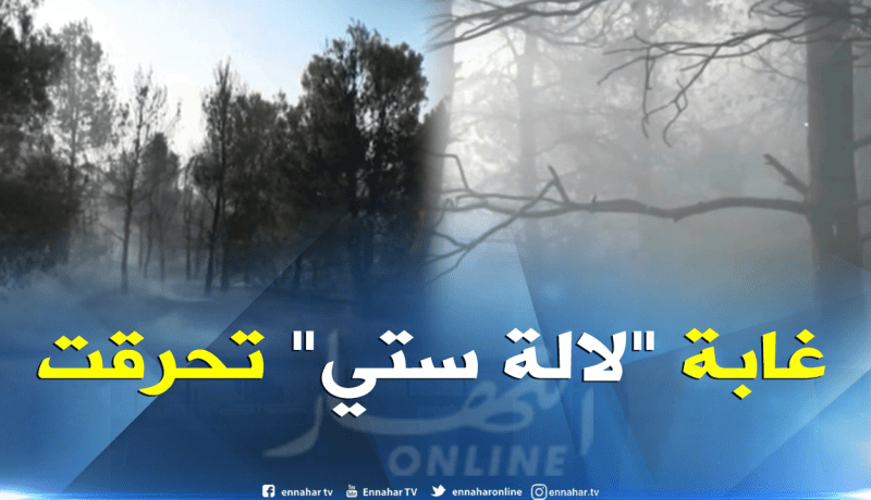 سعيدة: حريق بغابة “لالة ستي” يأتي على 20 هكتار من أشجار الصنوبر الحلبي