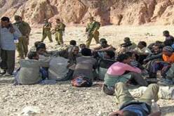 حوالي 56مهاجر صومالي غير شرعي يدخلون اليمن