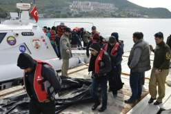 ضبط 429 مهاجرا غير شرعي في تركيا