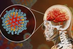 دراسة تُحذر.. أضرار دماغية مرتبطة بفيروس كورونا!