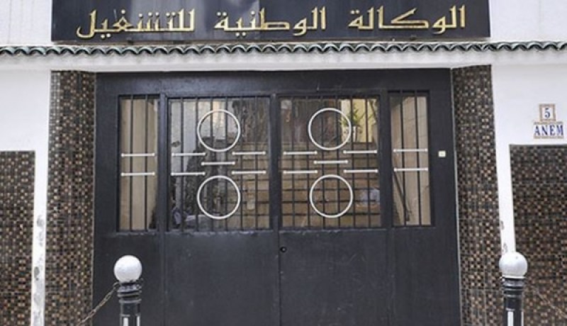 ANEM..القطاع الخاص يسيطر على سوق العمل في الجزائر بنسبة 77 بالمائة