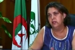 تأمين السيارات من حوادث مرور ثقافة يجهلها الكثيرين