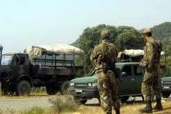 مقتل شخص وإصابة آخر بالخطأ برصاص في حاجز أمني للدرك بتيزي وزو