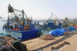 إرتفاع في حركة البضائع بـ 248 ألف طن خلال 2013 بميناء مستغانم