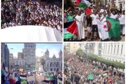 مسيرة حاشدة يوم الجمعة انطلاقا من ساحة أول ماي إلى ساحة الشهداء