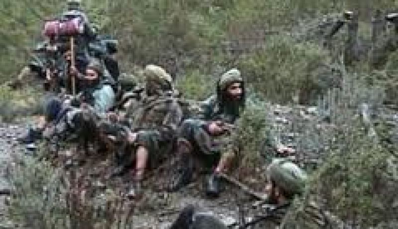 سلال يدعو دول عدم الانحياز إلى توحيد جهودها للقضاء على آفة الإرهاب