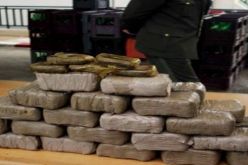 أمن ولاية الجزائر يحجز أزيد من 135 كلغ من القنب الهندي خلال السنة الجارية