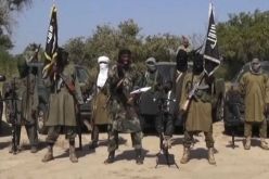 مقتل العشرات من بوكو حرام وتحرير 20 رهينة في نيجيريا