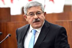 نواب الجنوب يستنكرون تصريحات أويحيى