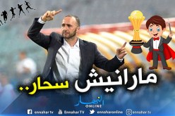 بالفيديو.. بلماضي:”نحن بحاجة للوقت ولم نصل بعد”