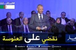 بن ڨرينة: لدي مشروع للقضاء على أزمة العنوسة في الجزائر