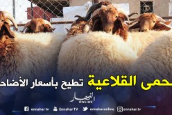 جيلالي عزاوي لـ«النهار»:«حالات الحمى القلاعية معزولة ولن ترفع من سعر الأضاحي»