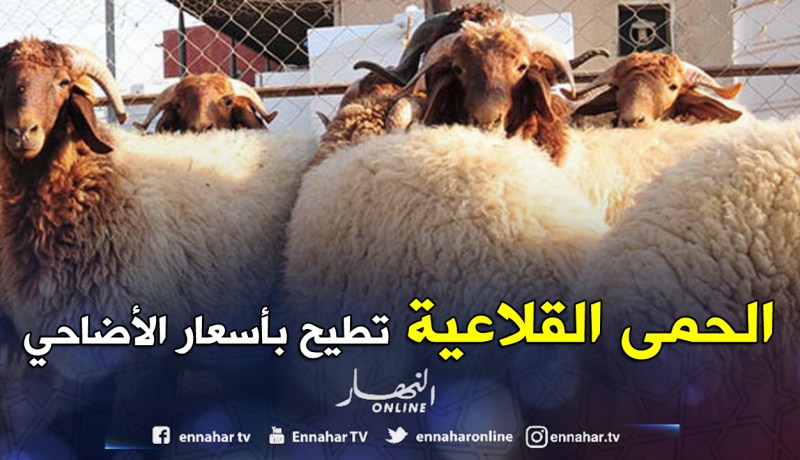 جيلالي عزاوي لـ«النهار»:«حالات الحمى القلاعية معزولة ولن ترفع من سعر الأضاحي»