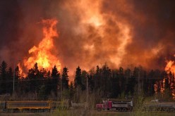 تمديد حالة الطوارئ في كندا للمرة الرابعة بسبب حرائق الغابات