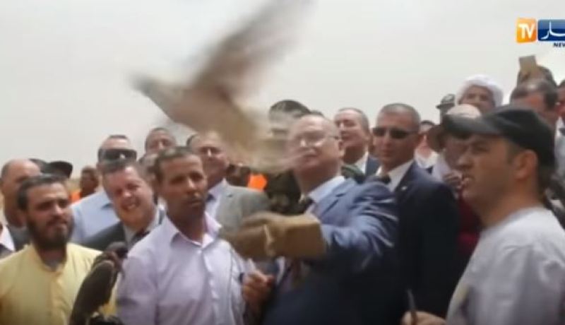 شاهد وزير الفلاحة بوعزقي يطلق سراح صقر بالأغواط