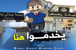 أربعة جزائريين ضمن قائمة أحسن الباحثين في العالم لسنة 2018