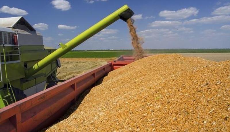 وزارة الفلاحة: دفع مستحقات المزارعين في آجال لا تتعدى 72 ساعة