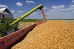 وزارة الفلاحة: نقاط تخزين الحبوب مفتوحة أمام الفلاحين حتى نهاية سبتمبر