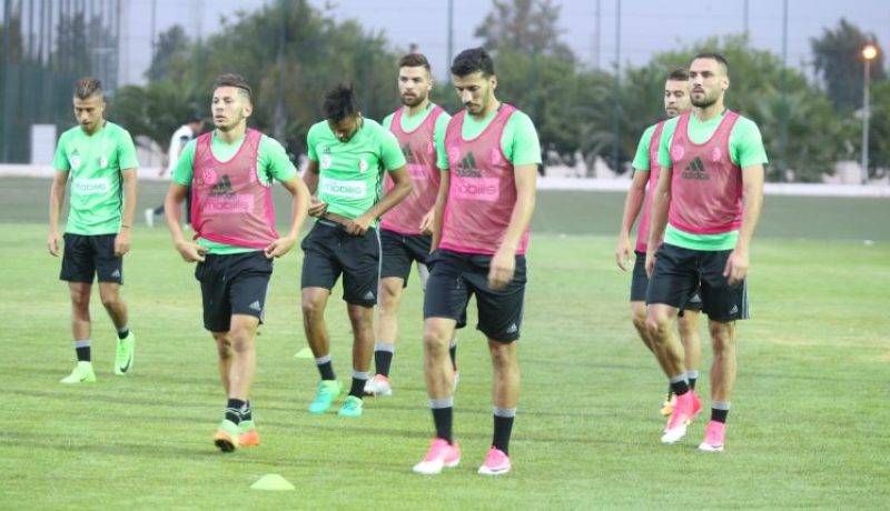 زروال يصاب وقد يضيّع مواجهتي ليبيا