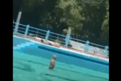بالفيديو.. ذهول إثر صلاة شخص داخل المسبح