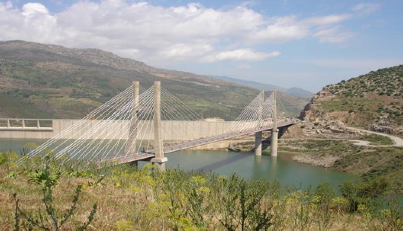 انتاج اكثرمن 650 طن من السمك عبر السدود في ميلة