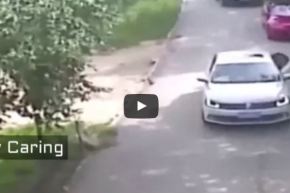 بالفيديو.. نمر يختطف امرأة ويلتهمها أمام أنظار عائلتها