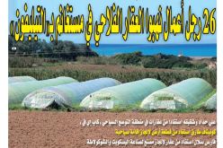 26 رجل أعمال نهبوا العقار الفلاحي في مستغانم بـ “التيليفون”!