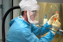 كورونا كوفيد 19.. أزيد من 1.4 مليون إصابة مؤكدة و80 ألف وفاة في العالم