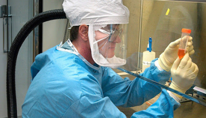 كورونا كوفيد 19.. أزيد من 1.4 مليون إصابة مؤكدة و80 ألف وفاة في العالم